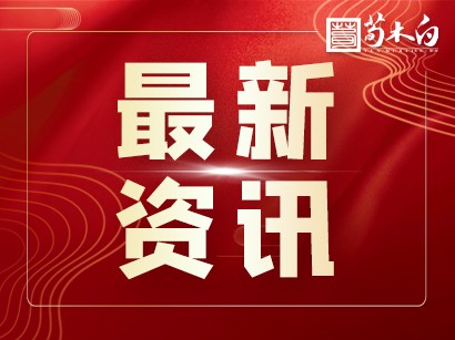 荀木白练字+加盟-师训 | 相识相知，共走书法国学之路